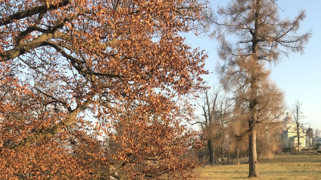 Фото до новини