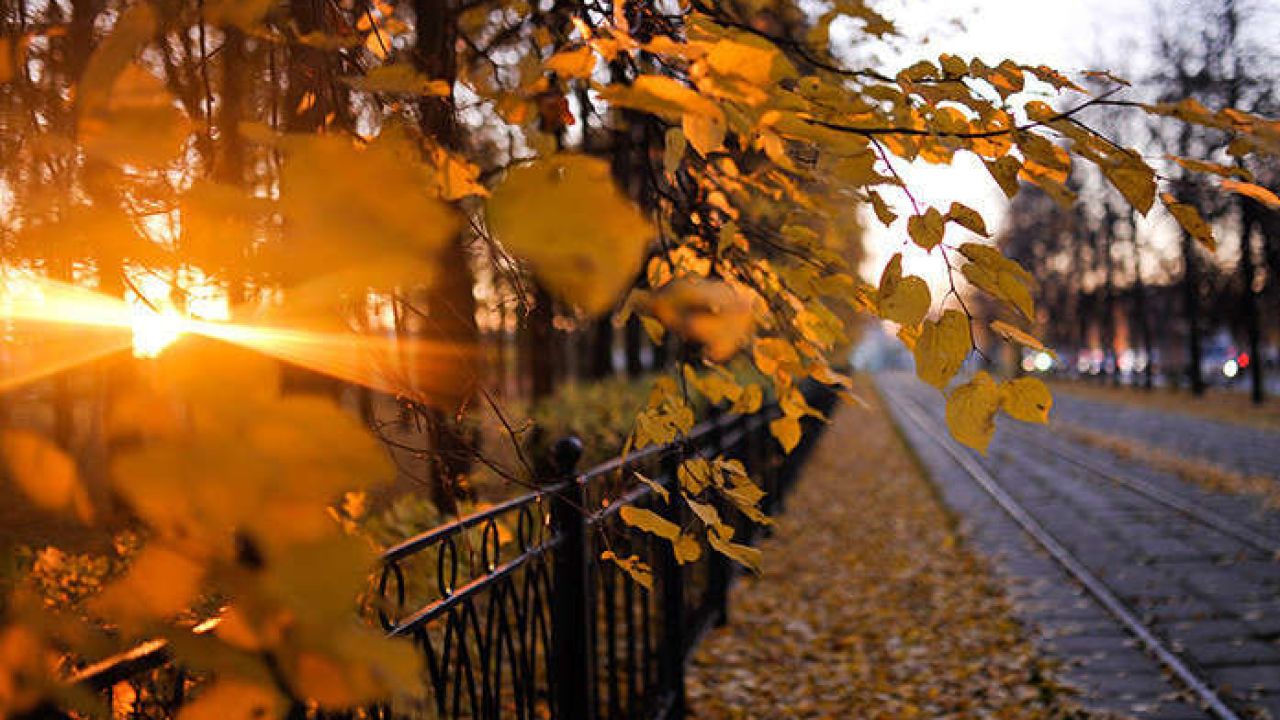 Фото до новини