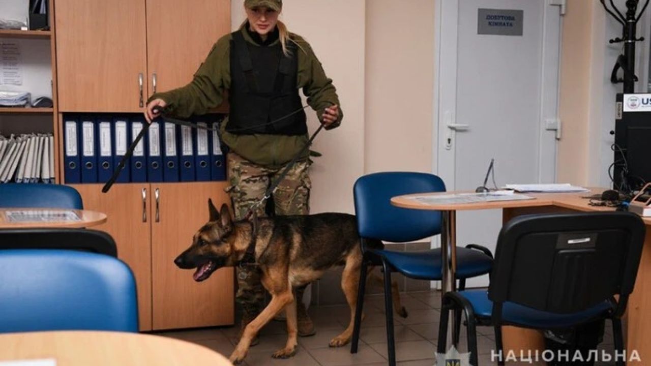 Фото до новини