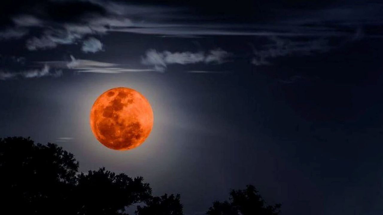 Фото до новини