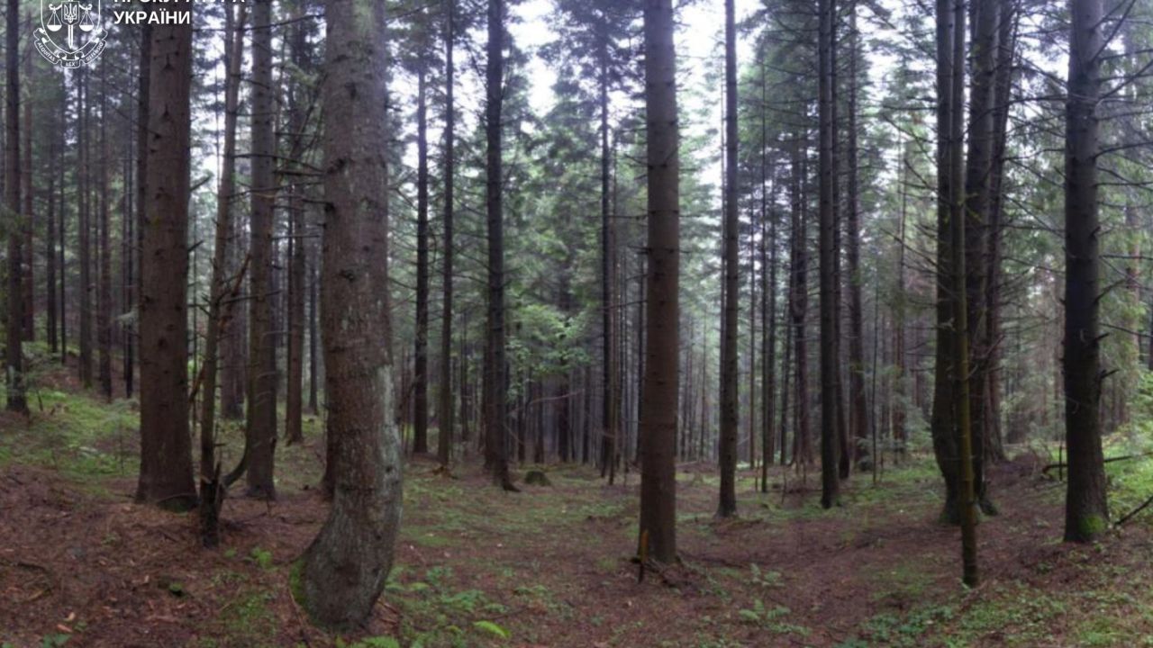 Фото до новини