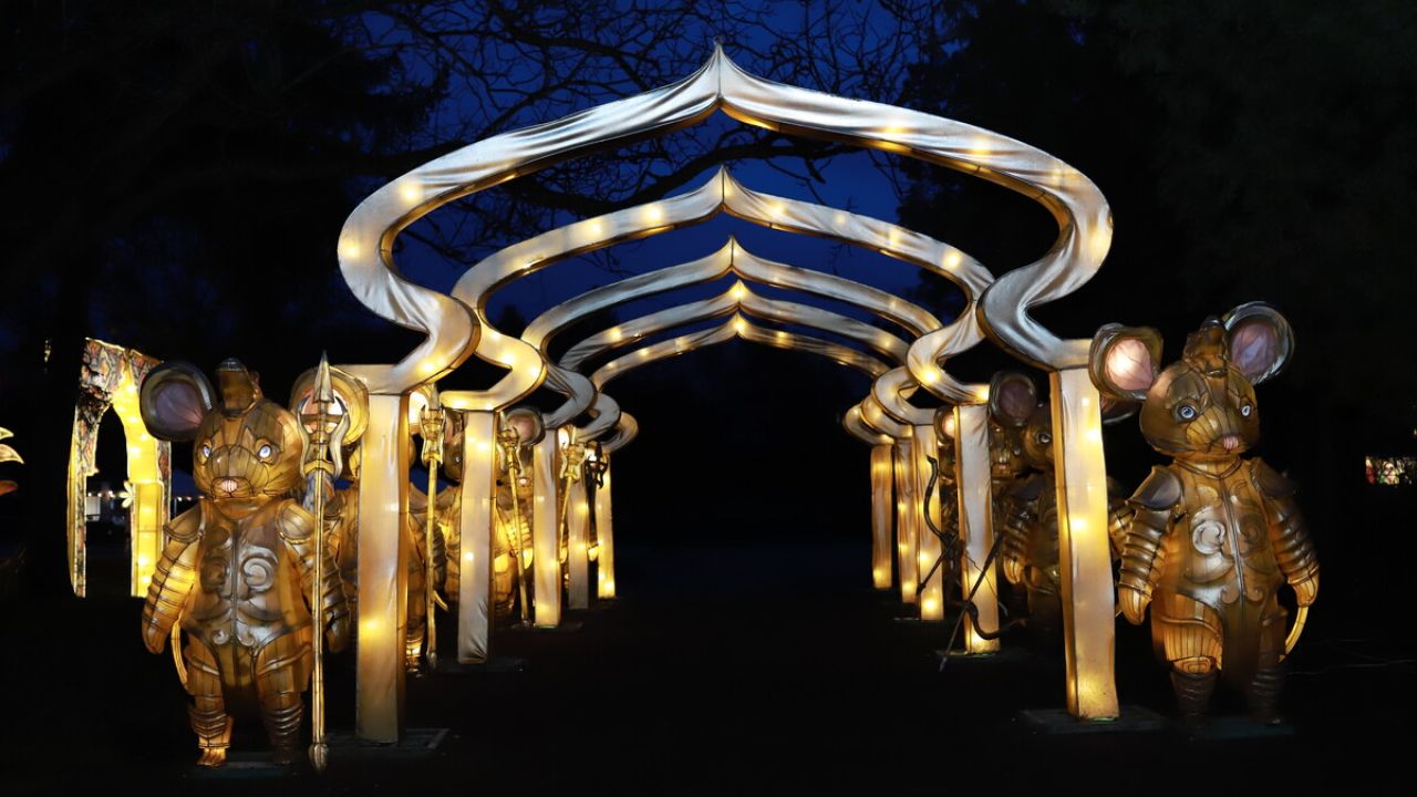 Фото до новини