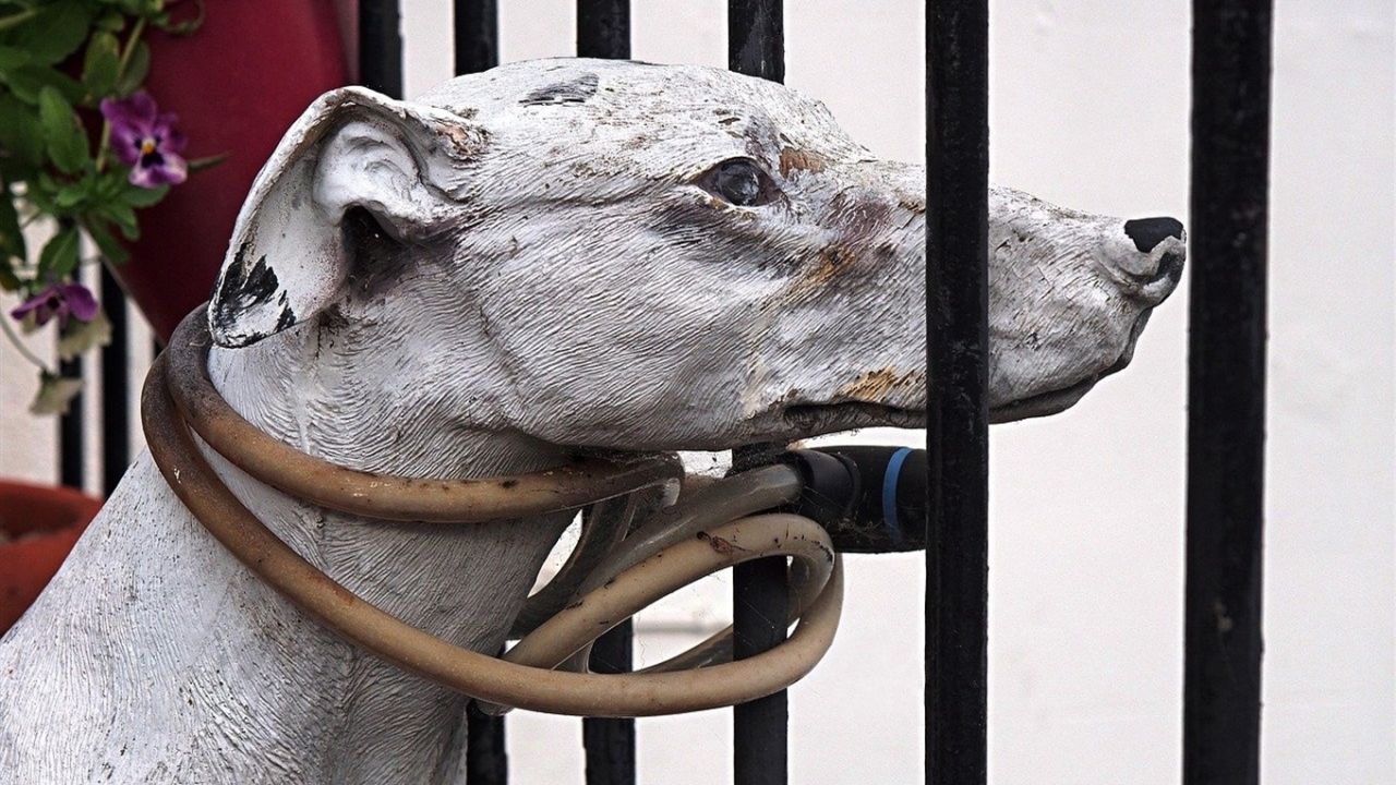 Фото до новини