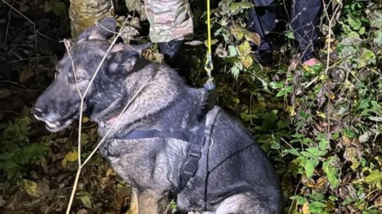 Фото до новини