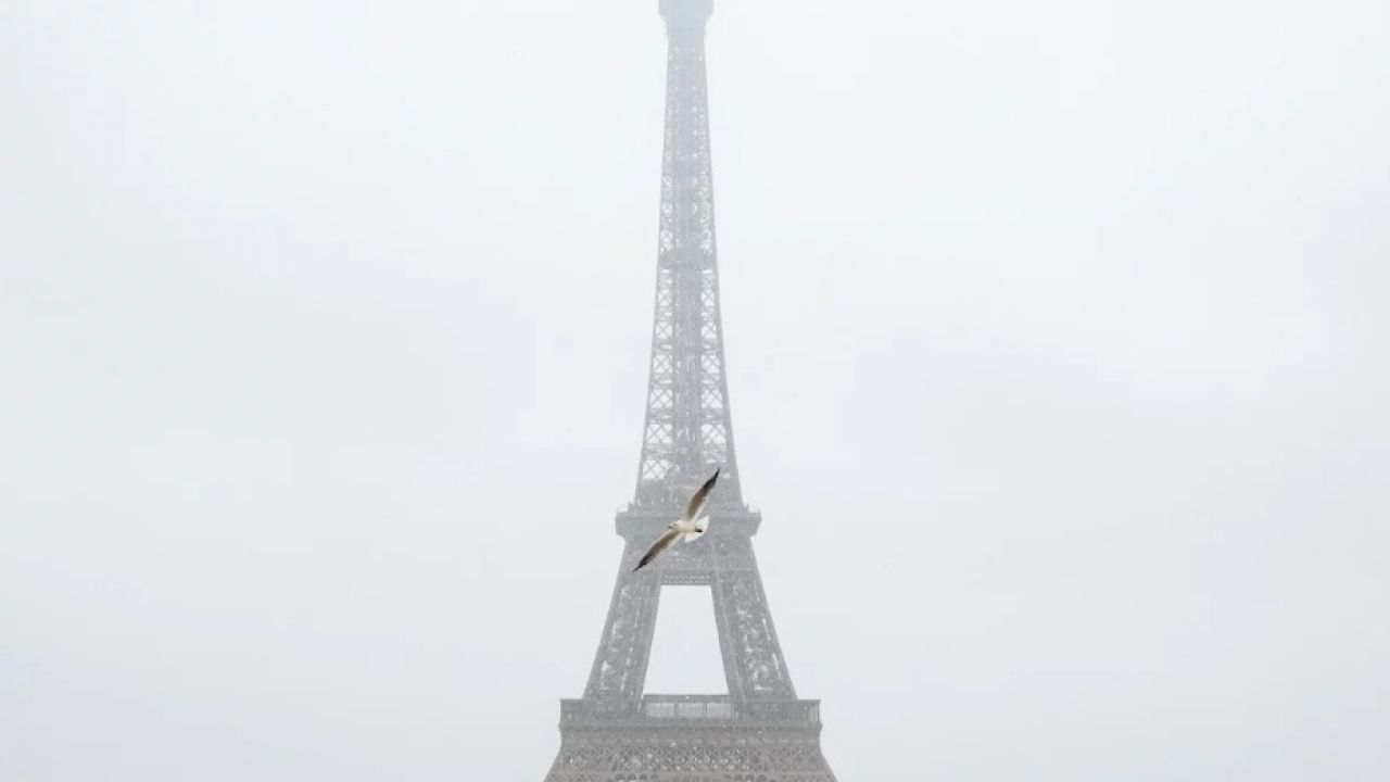 Фото до новини