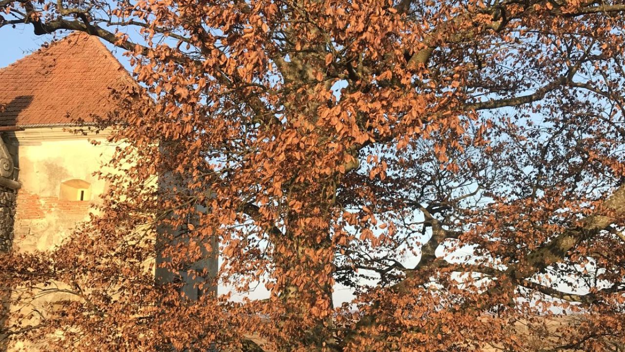 Фото до новини