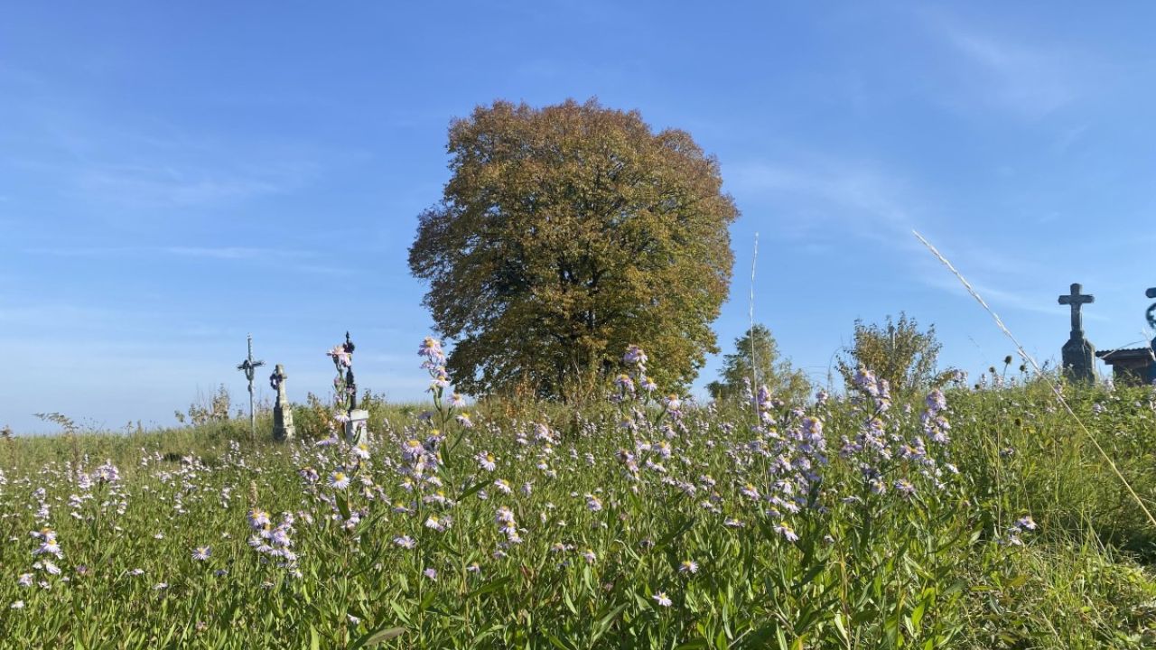 Фото до новини