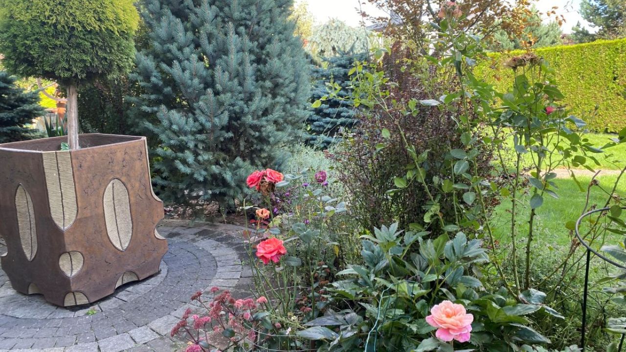 Фото до новини