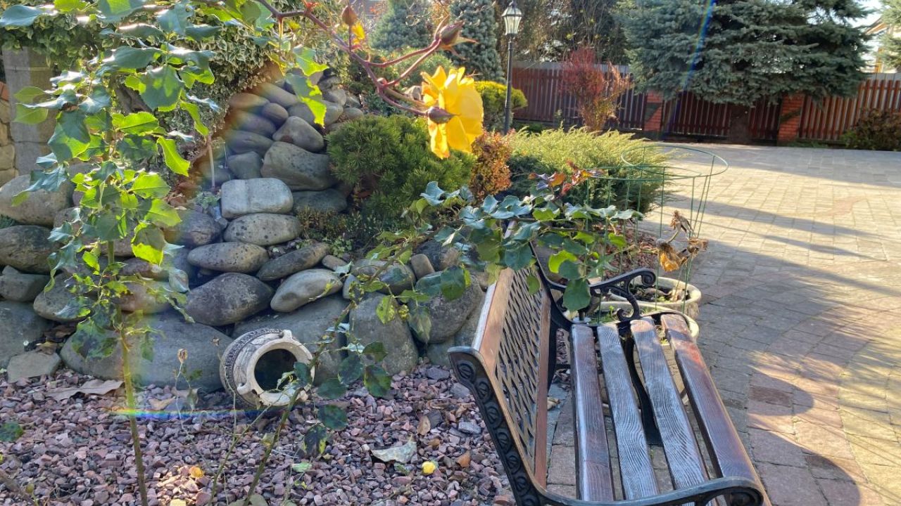 Фото до новини