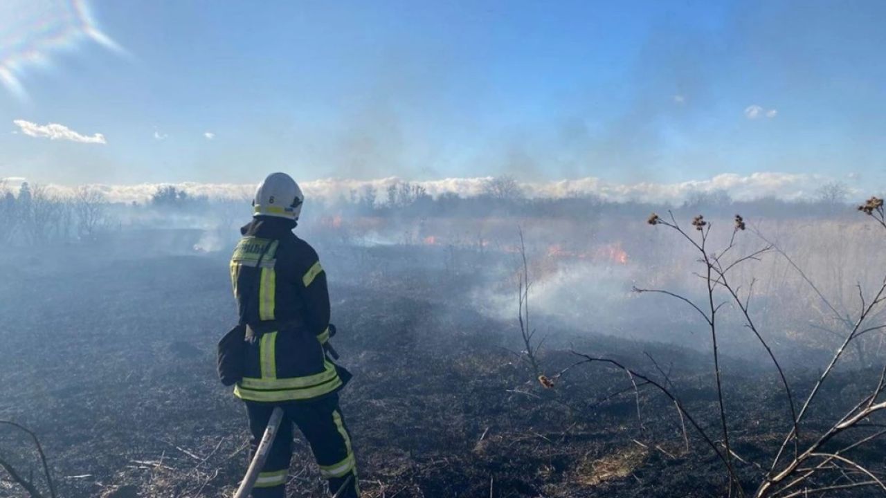 Фото до новини