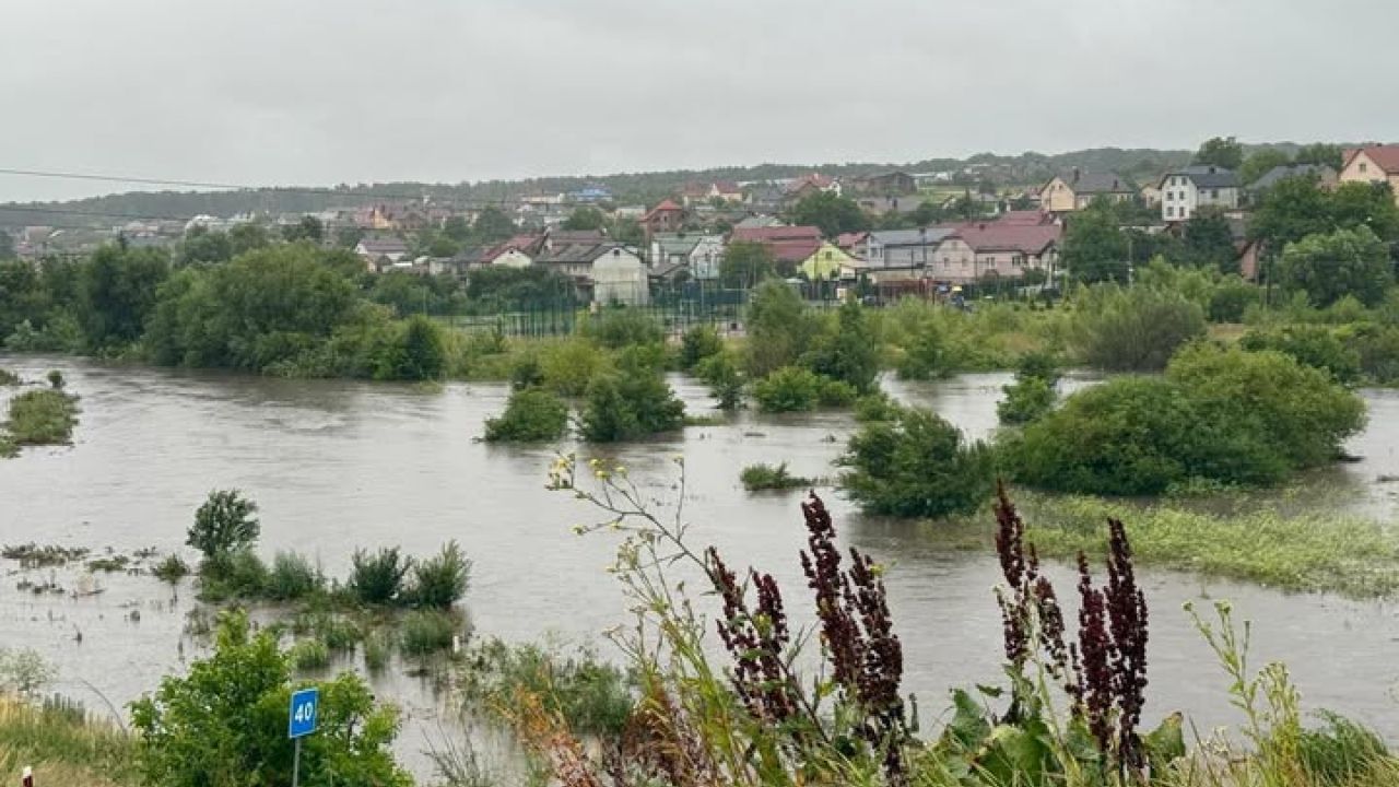 Фото до новини