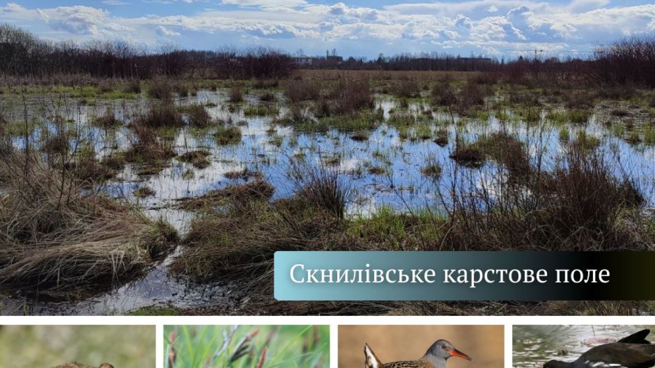 Фото до новини