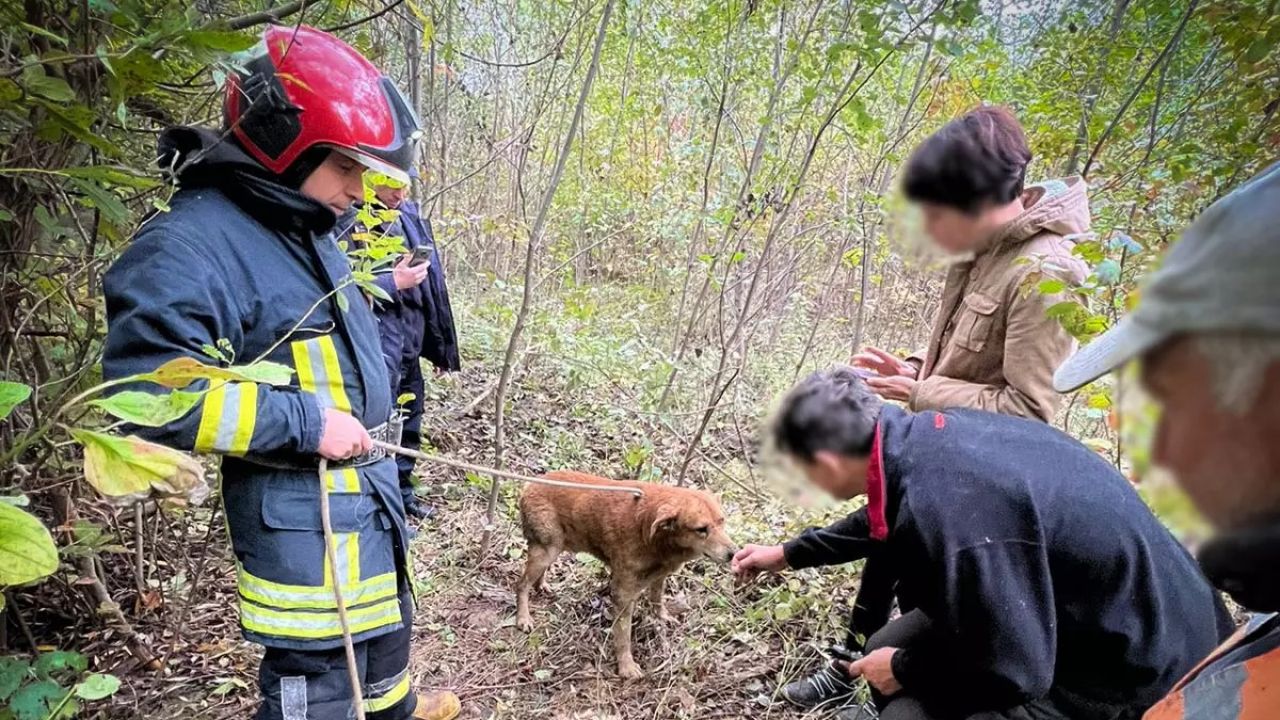 Фото до новини