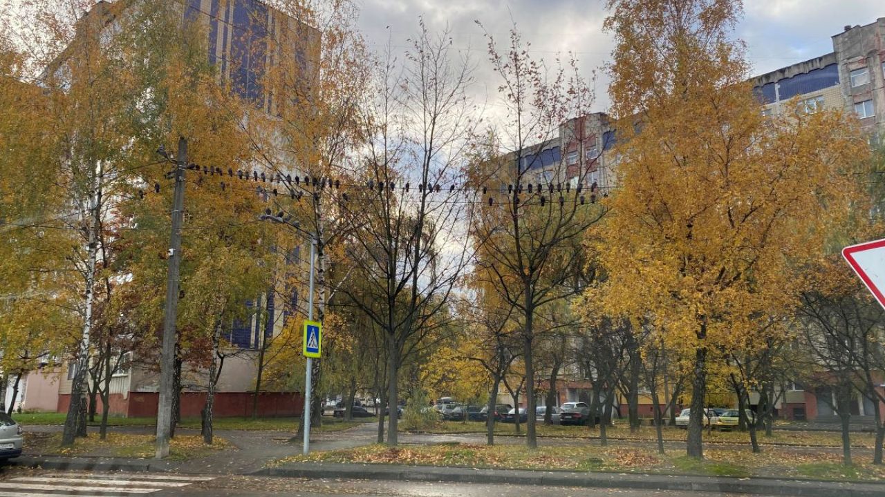 Фото до новини