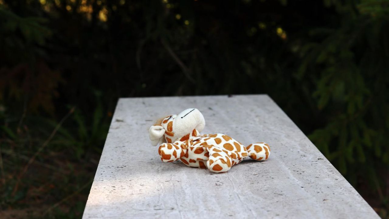 Фото до новини