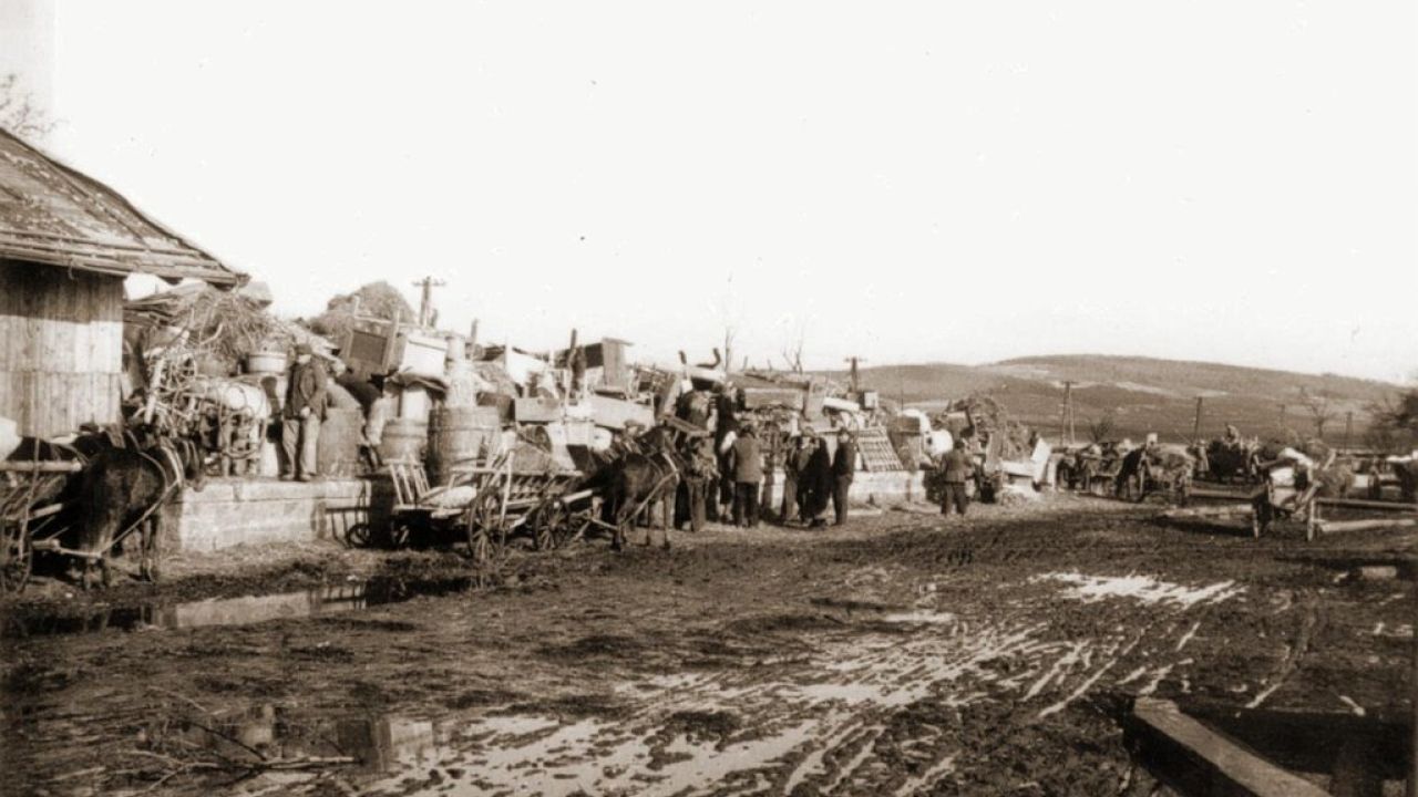 Фото до новини