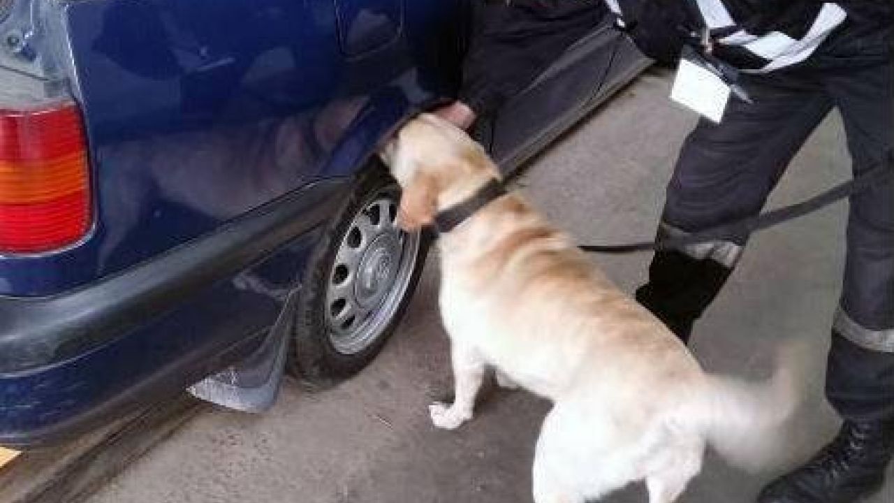 Фото до новини