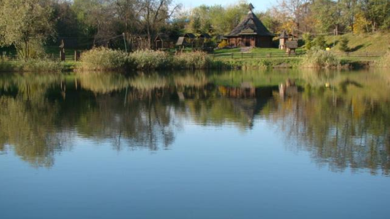 Водоймі поблизу ресторану «Гуцульська Гражда» на вулиці Володимира Великого