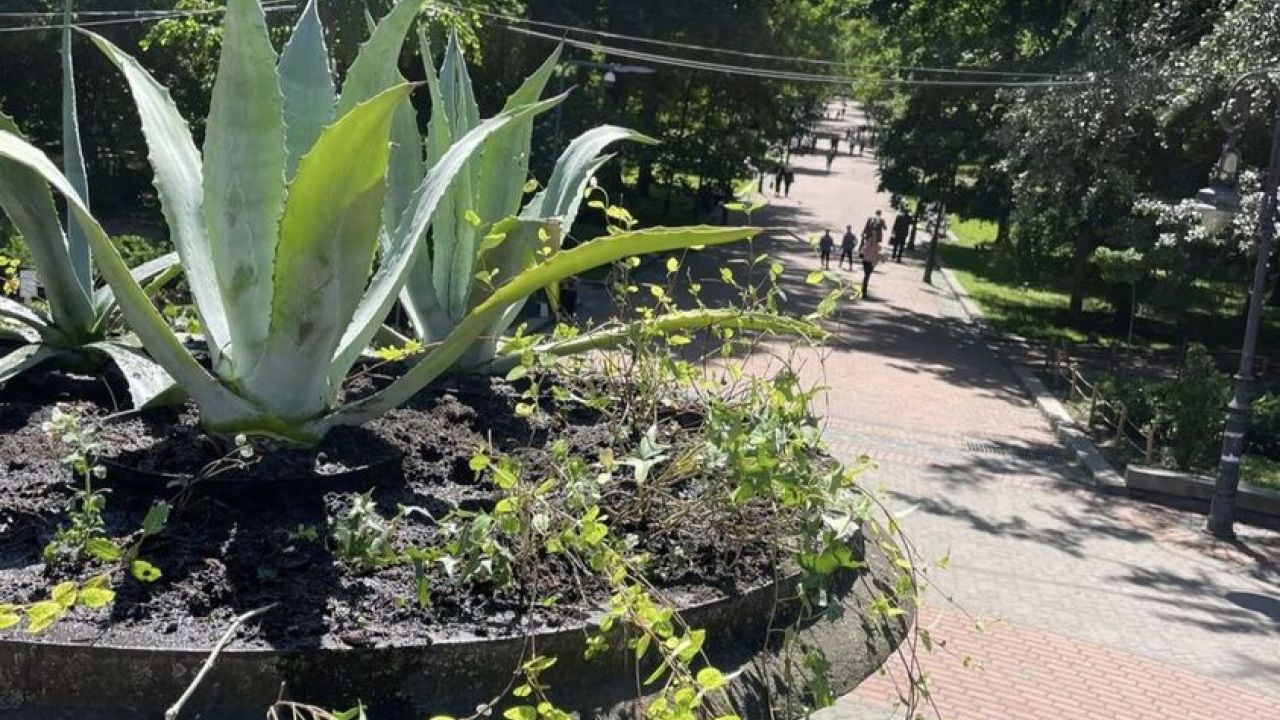 Фото до новини