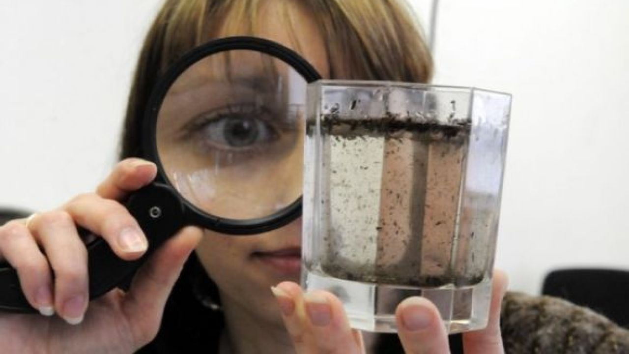 Світлина ілюстративна