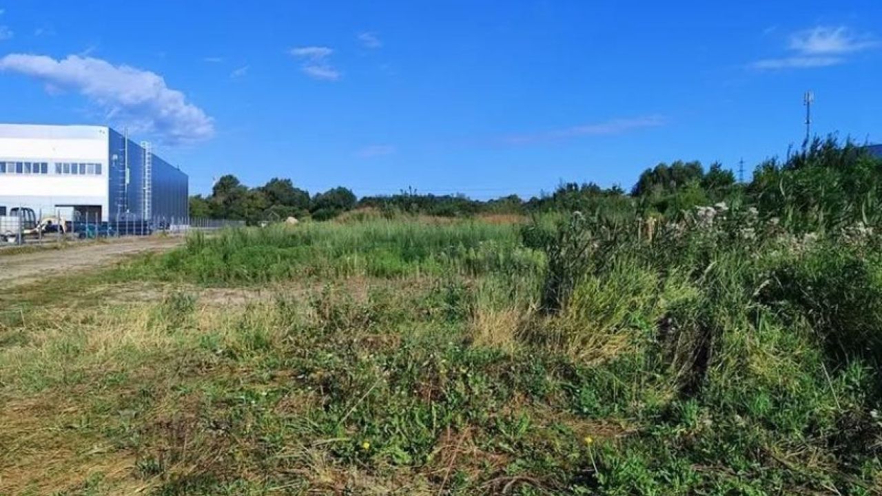 Фото до новини