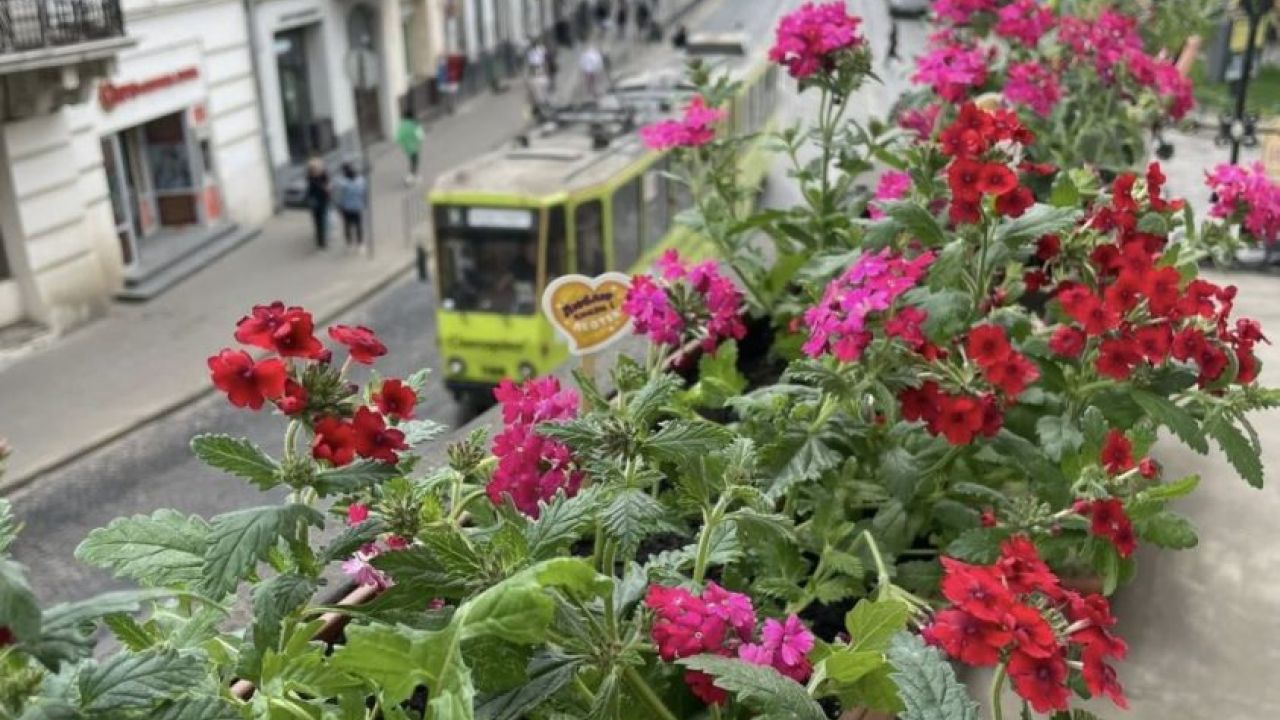 Фото до новини