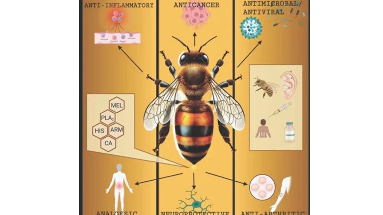 Фото до новини