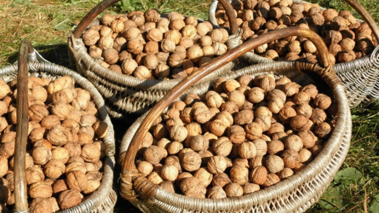 Фото до новини