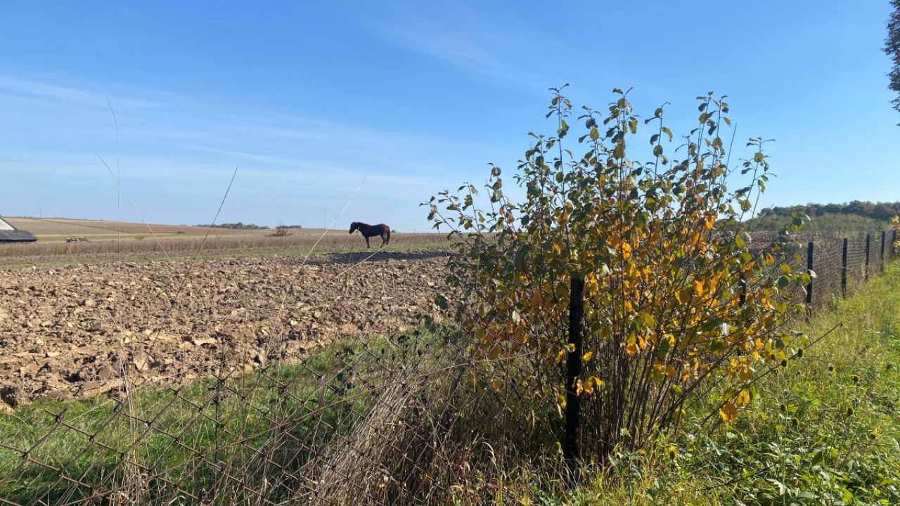 Фото до новини