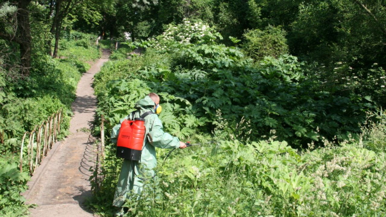 Фото до новини