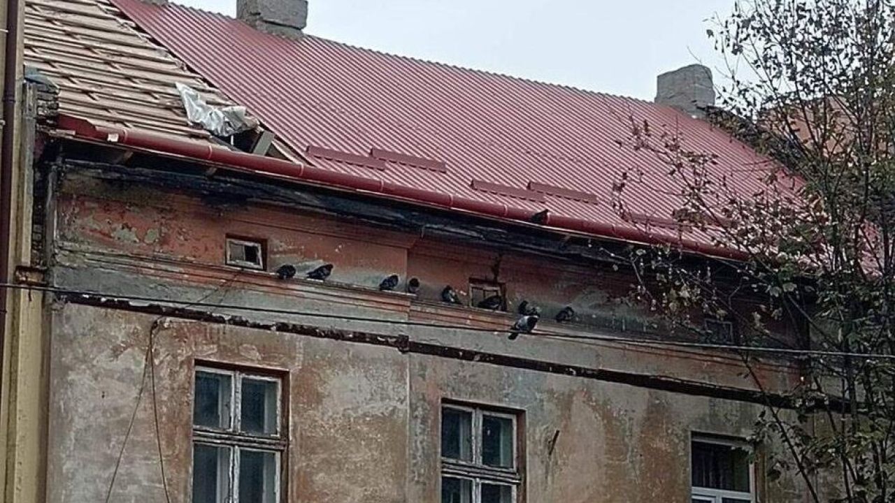 Фото до новини