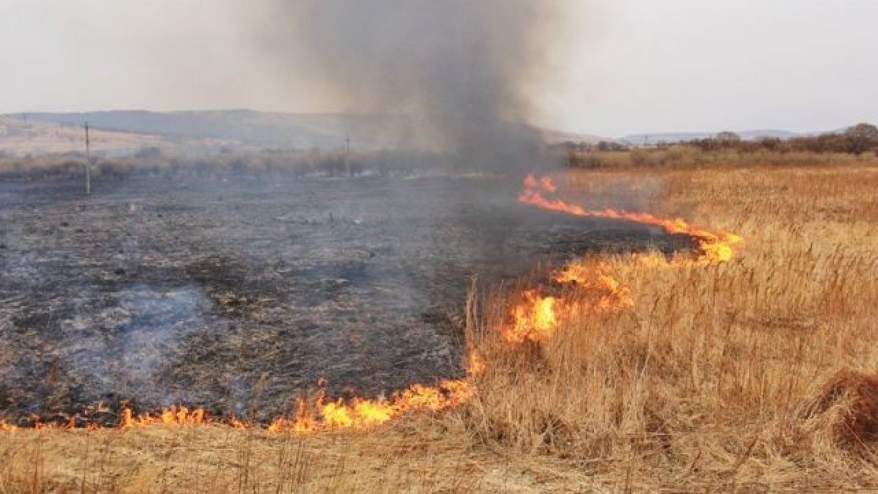 Світлина ілюстративна