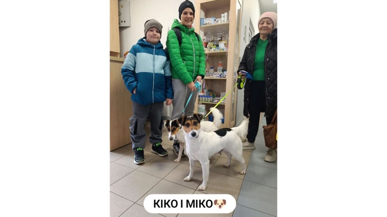 Фото до новини