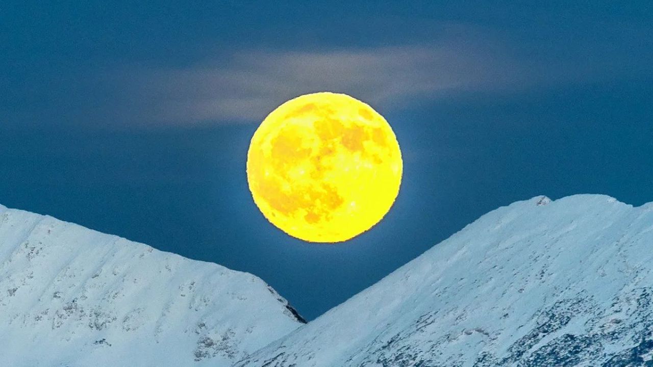 Фото до новини