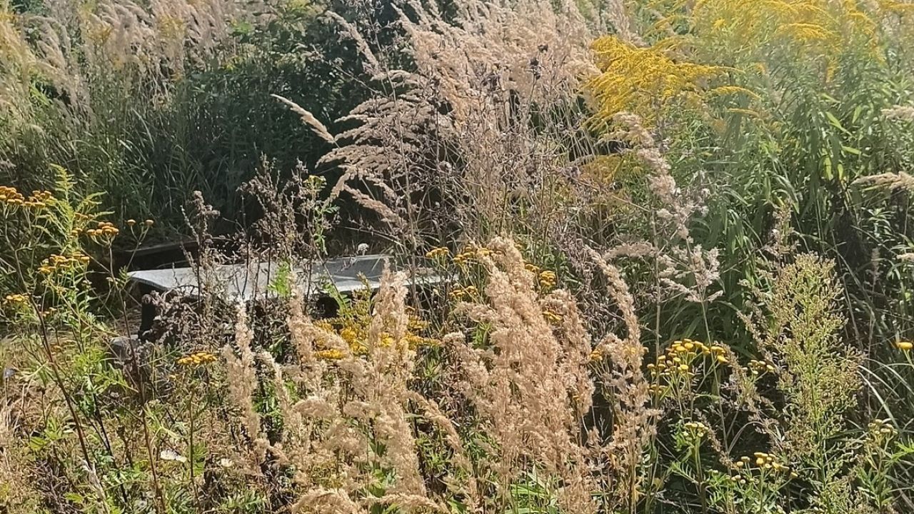 Фото до новини