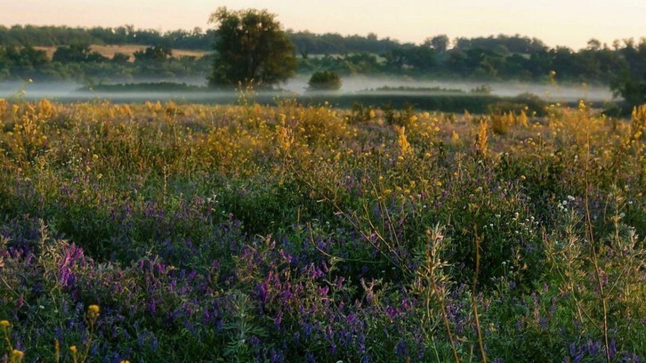 Фото до новини