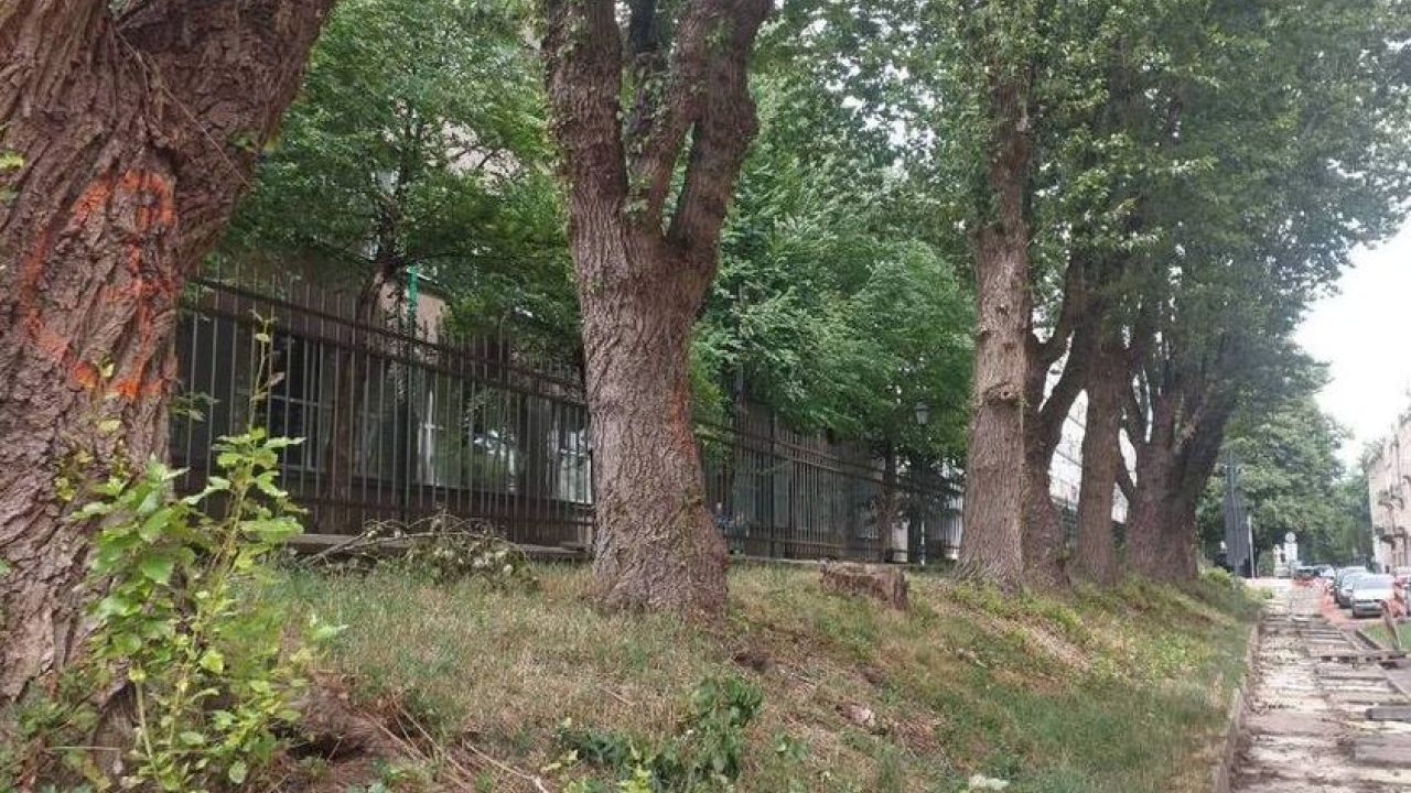 Фото до новини