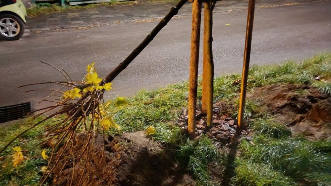 Фото до новини