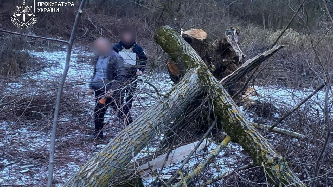 Фото до новини