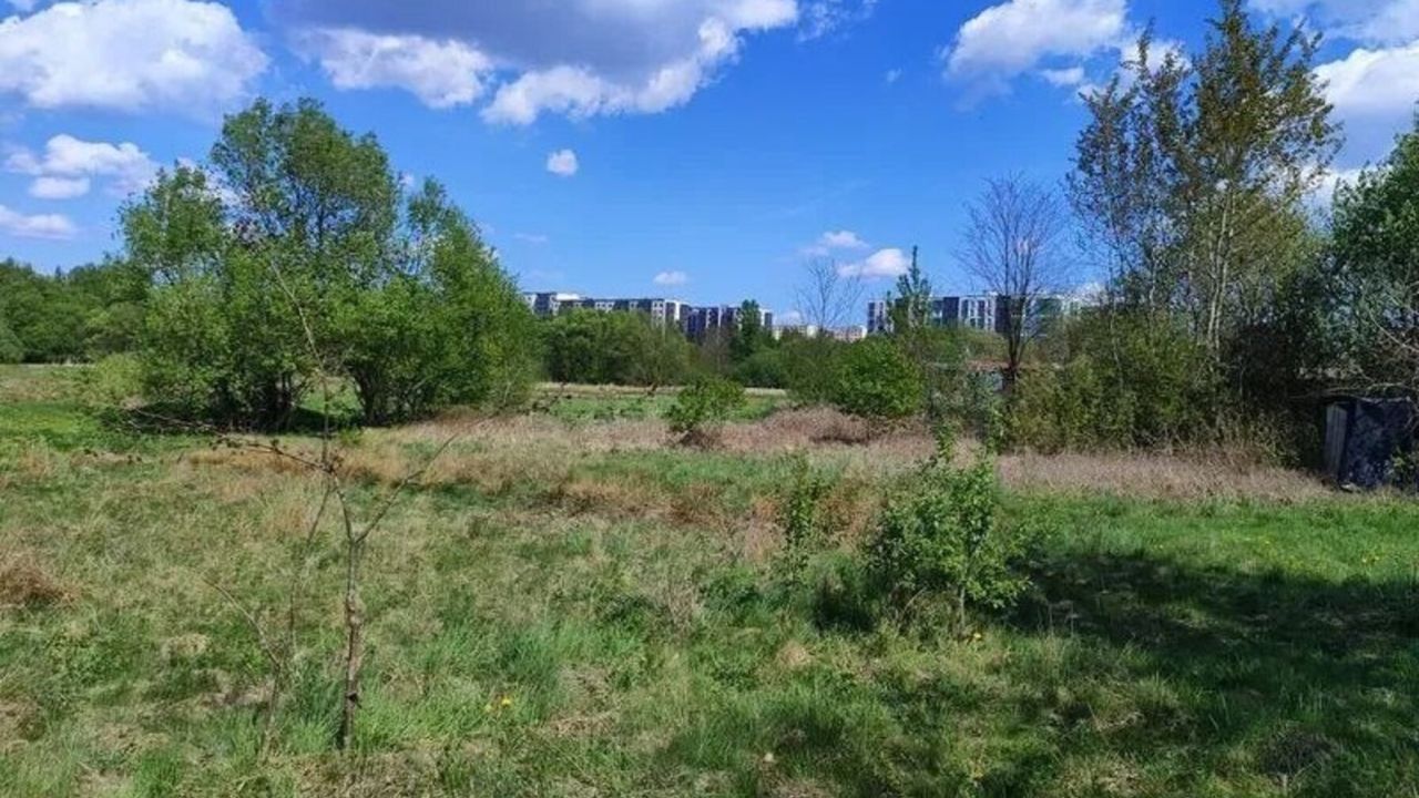 Фото до новини