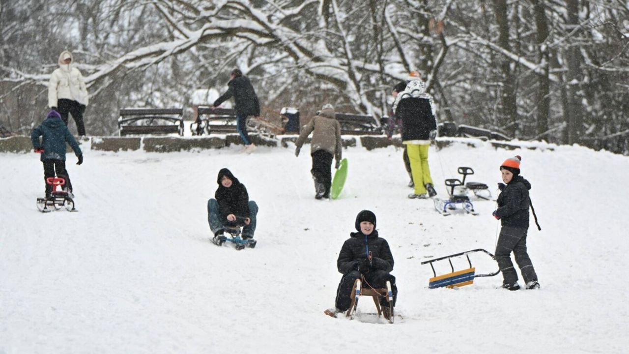 Фото до новини