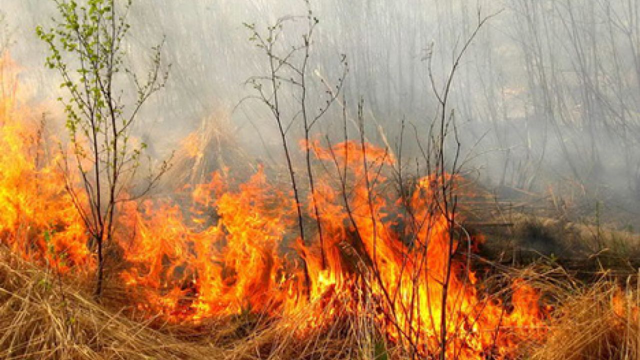 Фото до новини