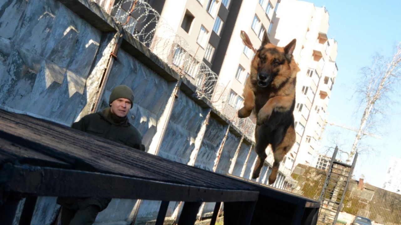 Фото до новини