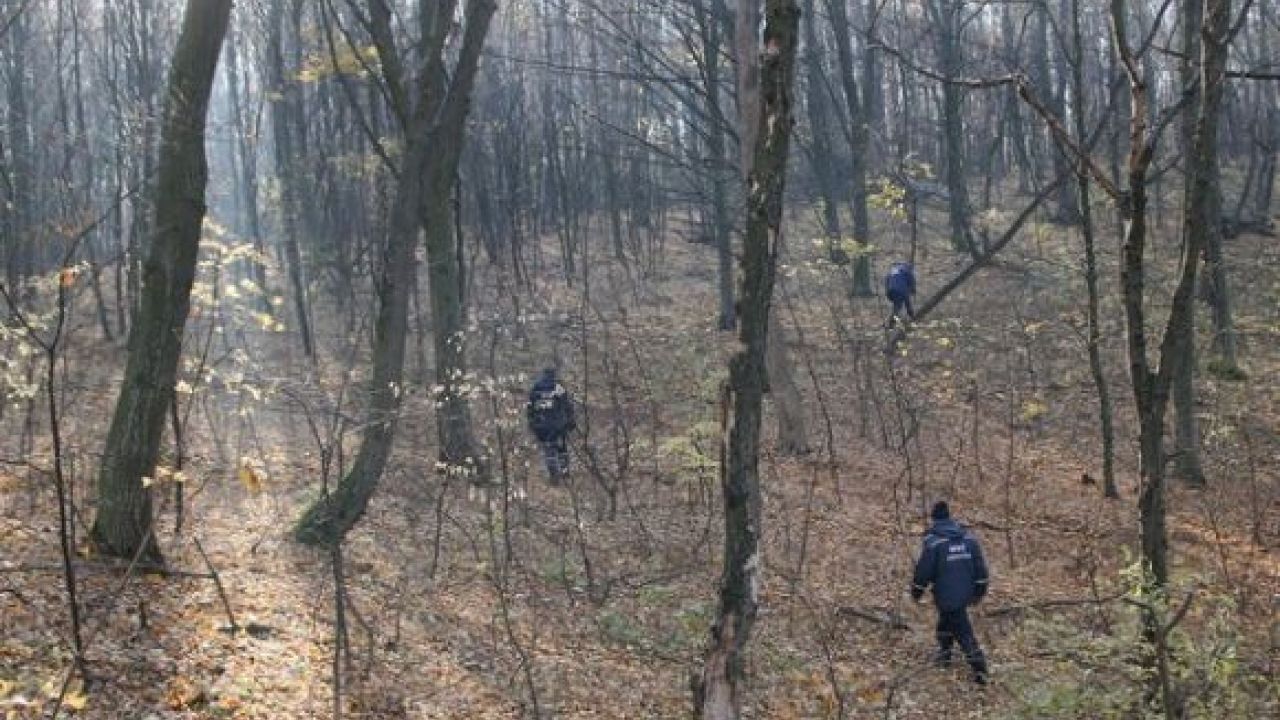 Фото до новини