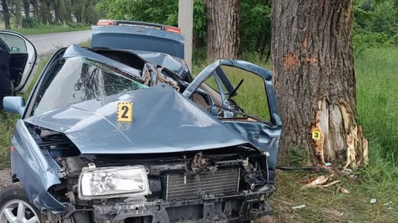 Фото до новини