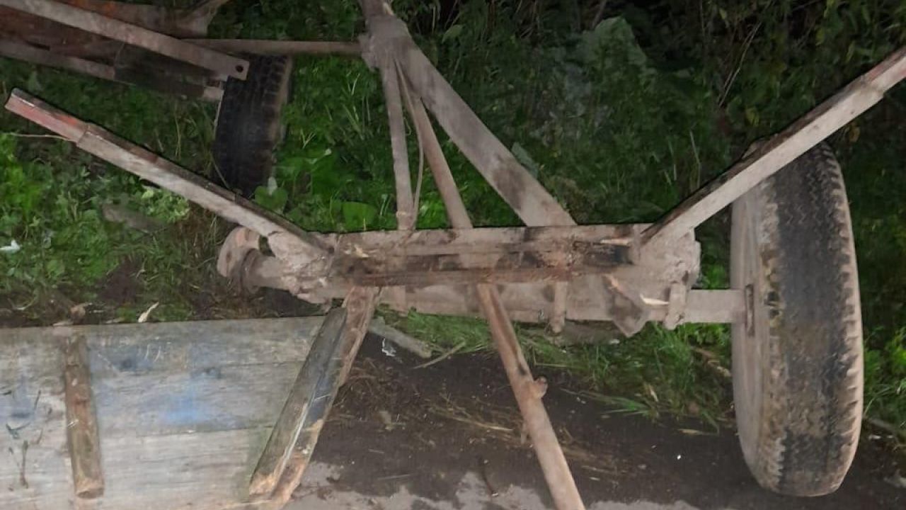 Фото до новини