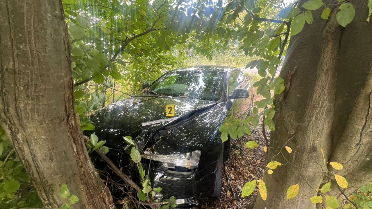 Фото до новини