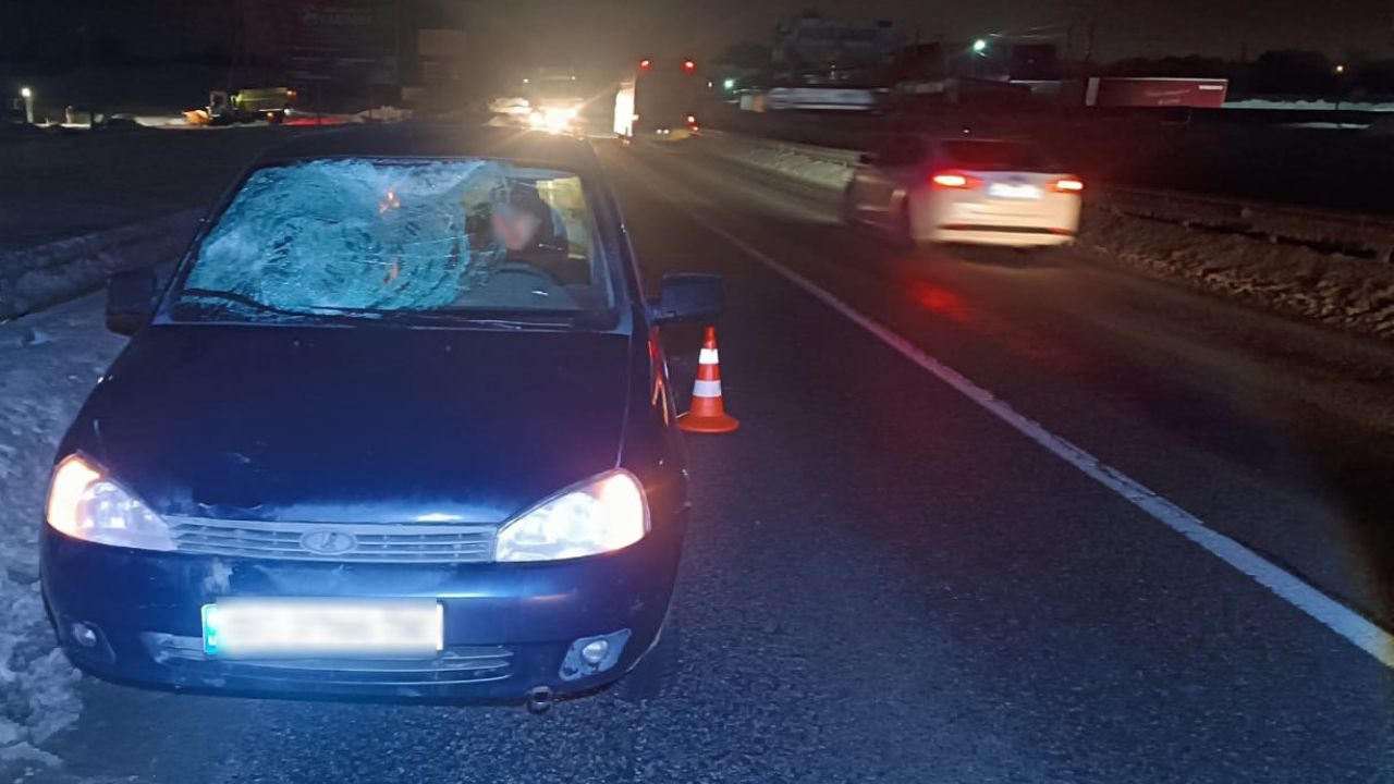 Фото до новини