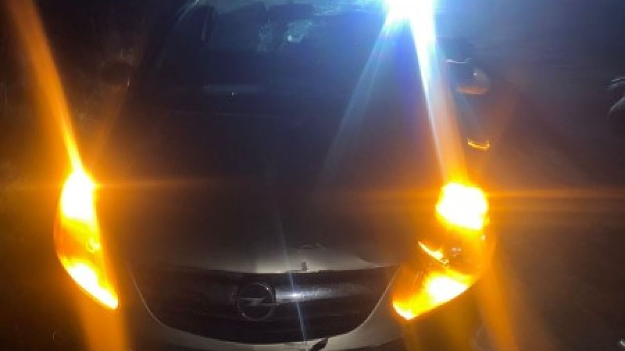 Фото до новини