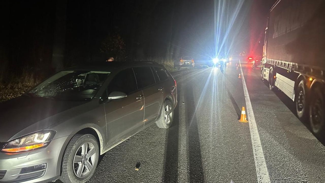 Фото до новини